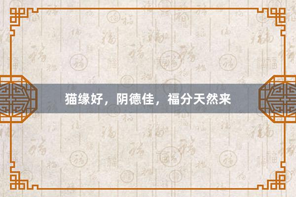 猫缘好，阴德佳，福分天然来