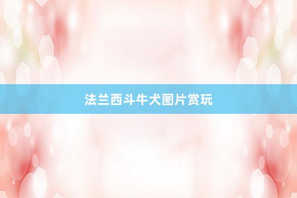 法兰西斗牛犬图片赏玩
